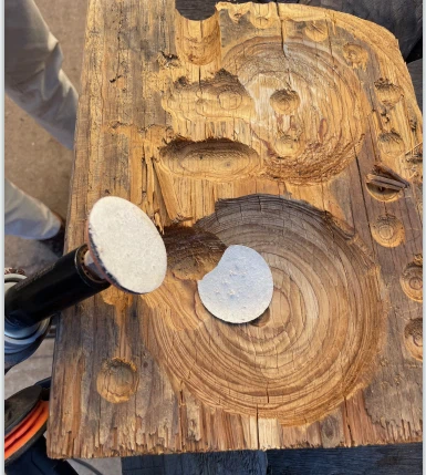 news-385-429 news-385-429